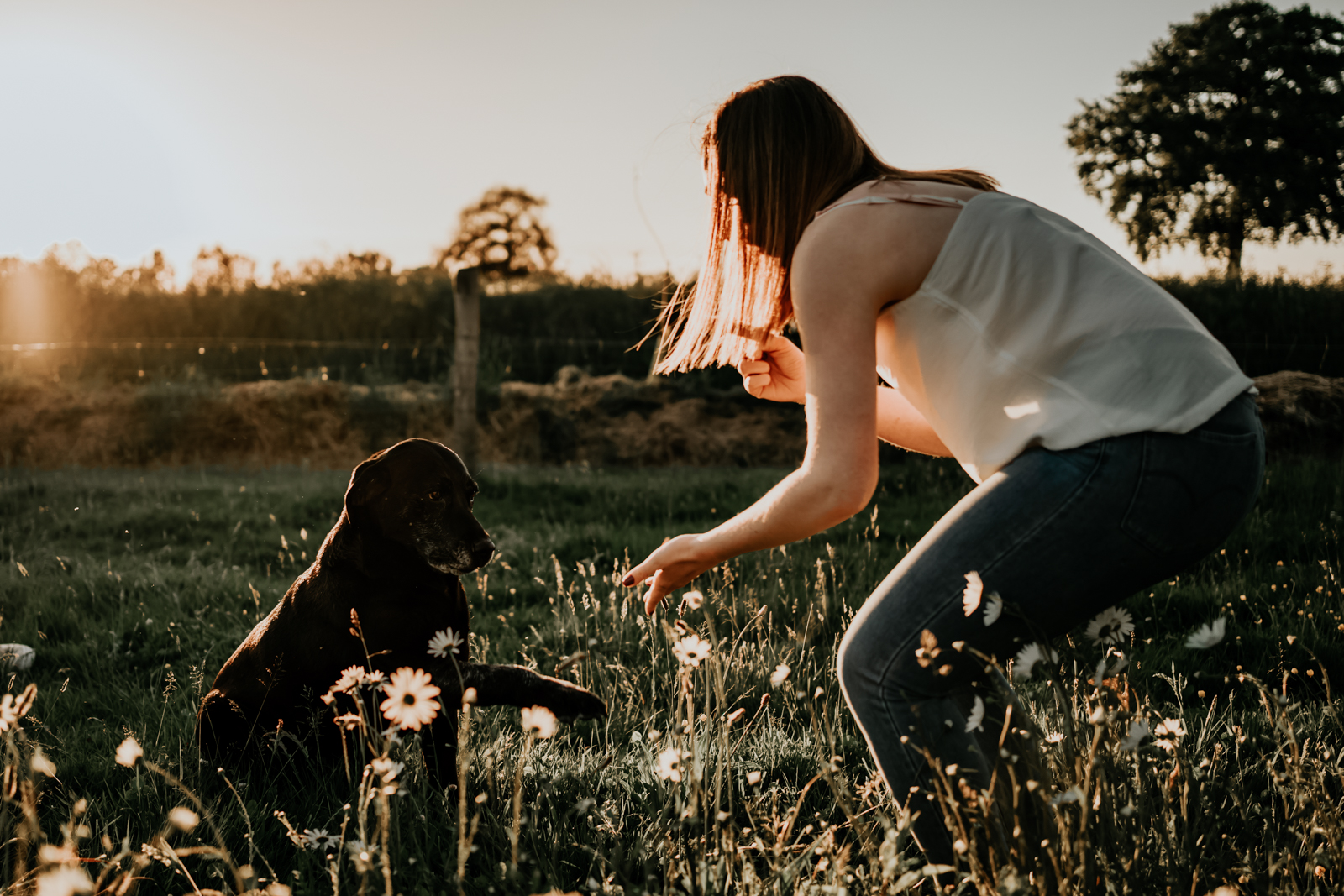 SHooting dog